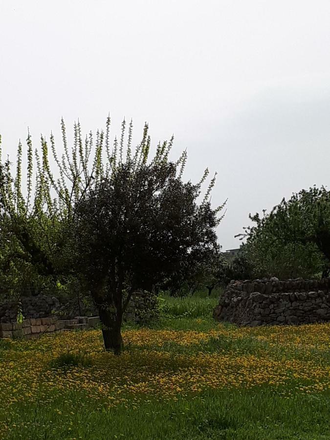 Masseria Cassiere 莫托拉 外观 照片