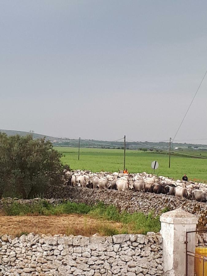 Masseria Cassiere 莫托拉 外观 照片